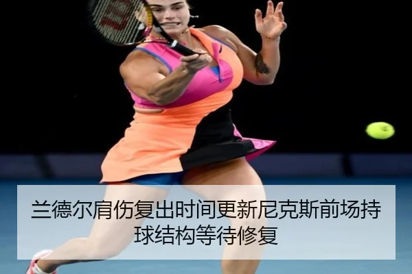 lan-de-er-jian-shang-fu-chu-shi-jian-geng-xin-ni-ke-si-qian-chang-chi-qiu-jie-gou-deng-dai-xiu-fu-2-753.jpg